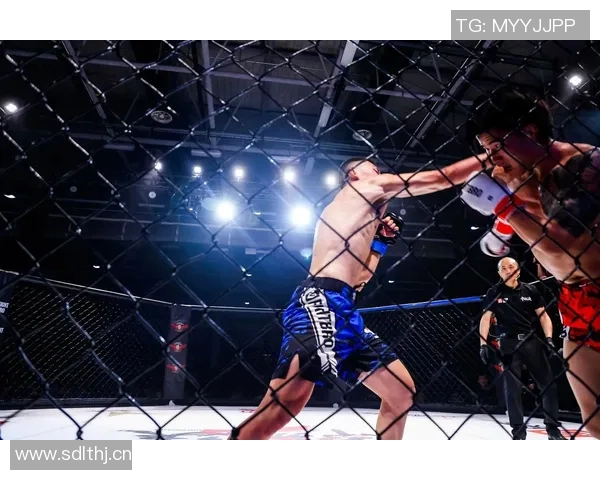 F1车队赛中实时策略调整与数据分析应用