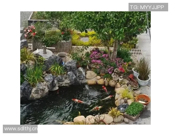 战术拆解：篮球八卦如何通过巧妙布局主导比赛节奏与攻防转换